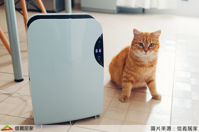 但是太陽不是天天有，而且衣服可以曬，那其他東西呢？所以除了太陽的第二個好朋友就是「除濕機」了，可說是居住在台北市的生活必備良伴。如果是陰雨連綿的天氣，幾乎天天打開除濕機，除濕的時候要把房間內的衣櫃、收納櫃、書櫃都打開，才能徹底除濕。另外要注意的是，如果將這些櫃子裡的東西拿出來整理，並擦拭櫃子內部時，也要再做一次除濕，確保櫃子內部和要收納進去的東西都是乾燥的，才不會受潮或發霉。
