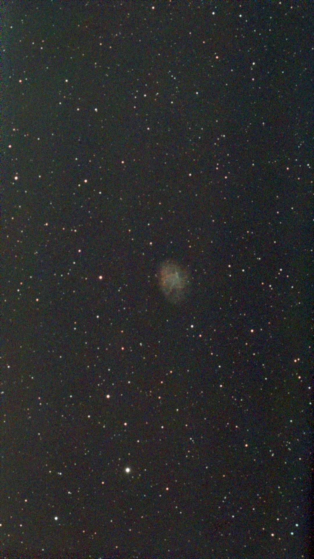 M1